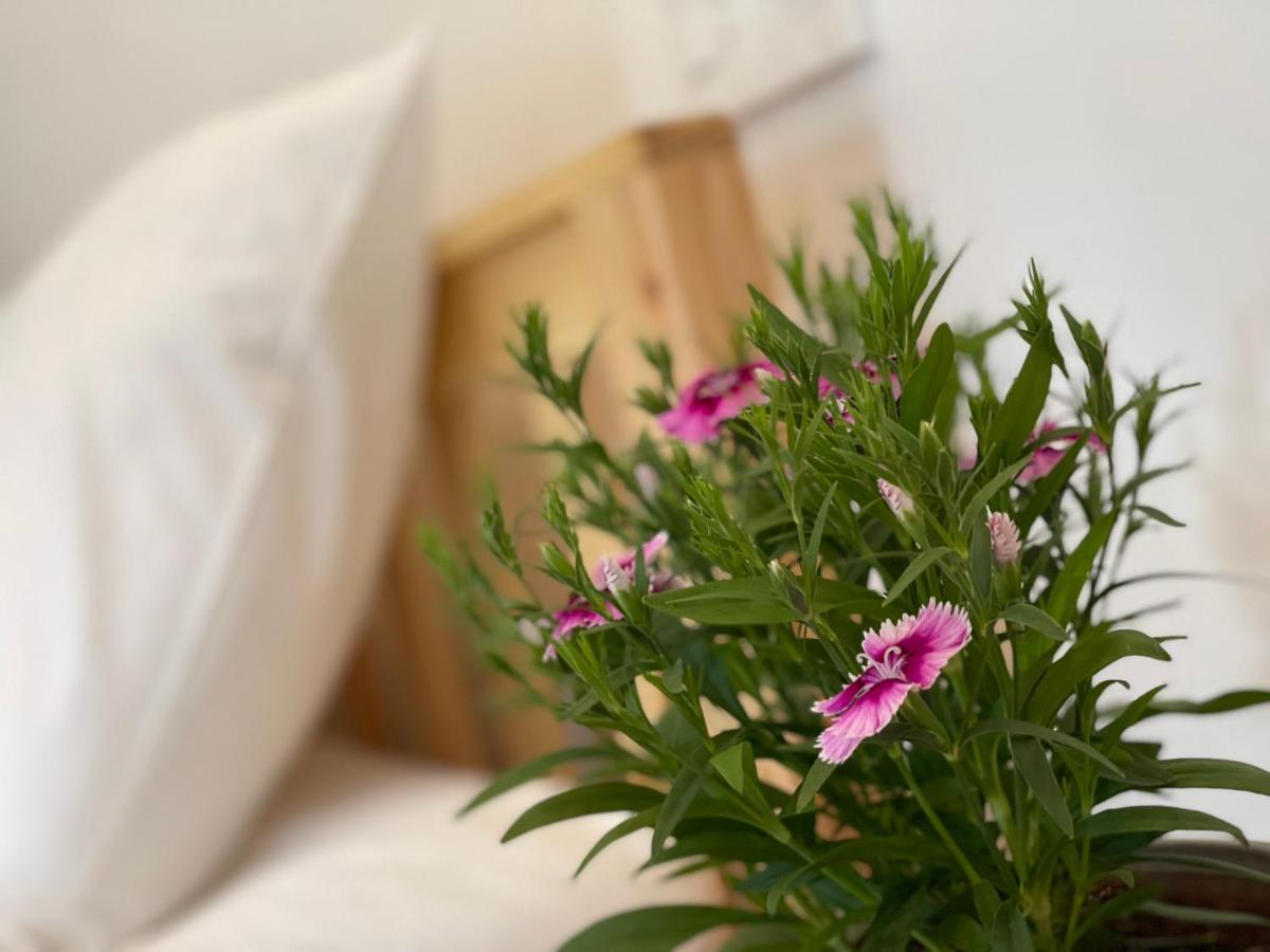 Pleiku Homestay المظهر الخارجي الصورة