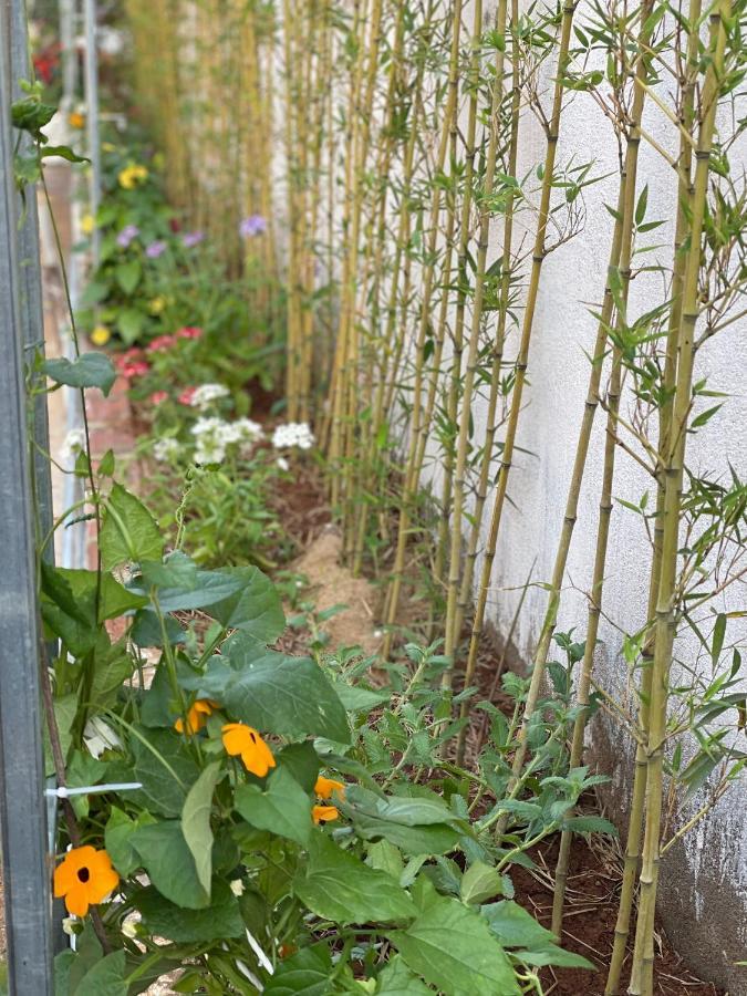 Pleiku Homestay المظهر الخارجي الصورة