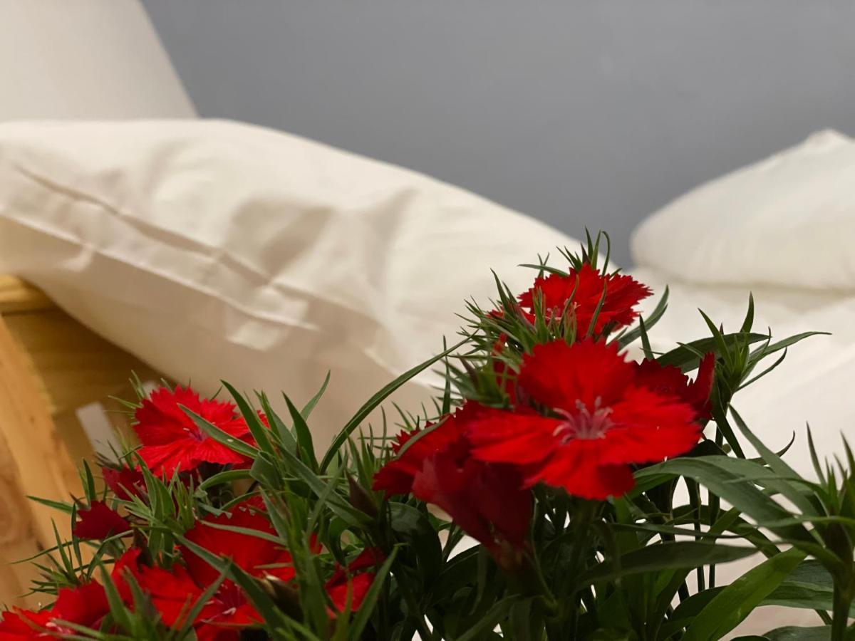 Pleiku Homestay المظهر الخارجي الصورة