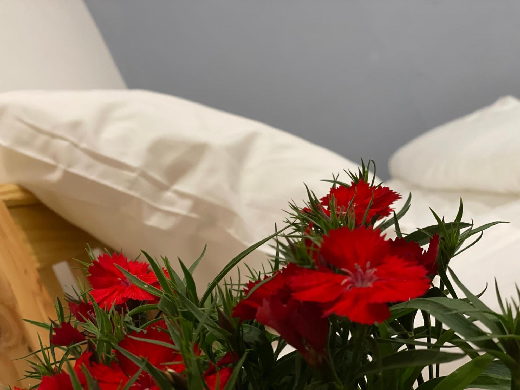 Pleiku Homestay الغرفة الصورة